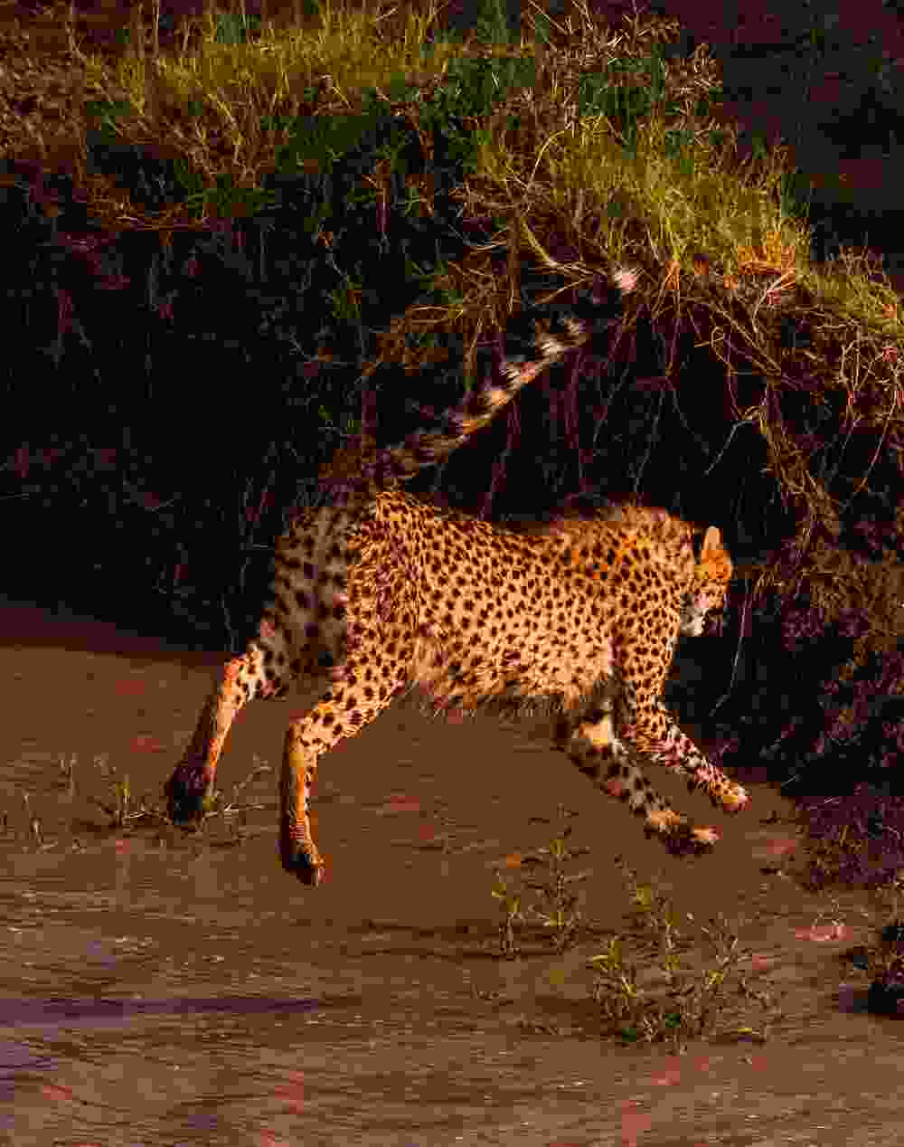 Featured Image